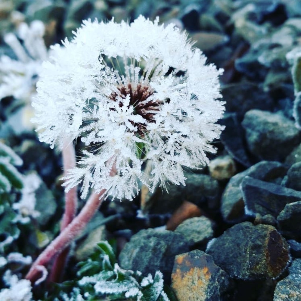 Meet your Posher, Aimee